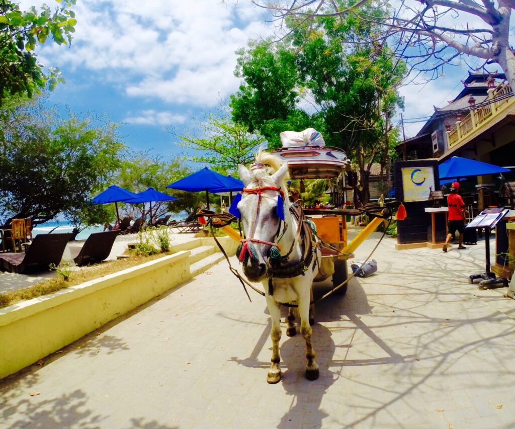 gili-trawangan-o-que-voce-deve-saber-transporte.jpg Cidomo em Gili Trawangan
