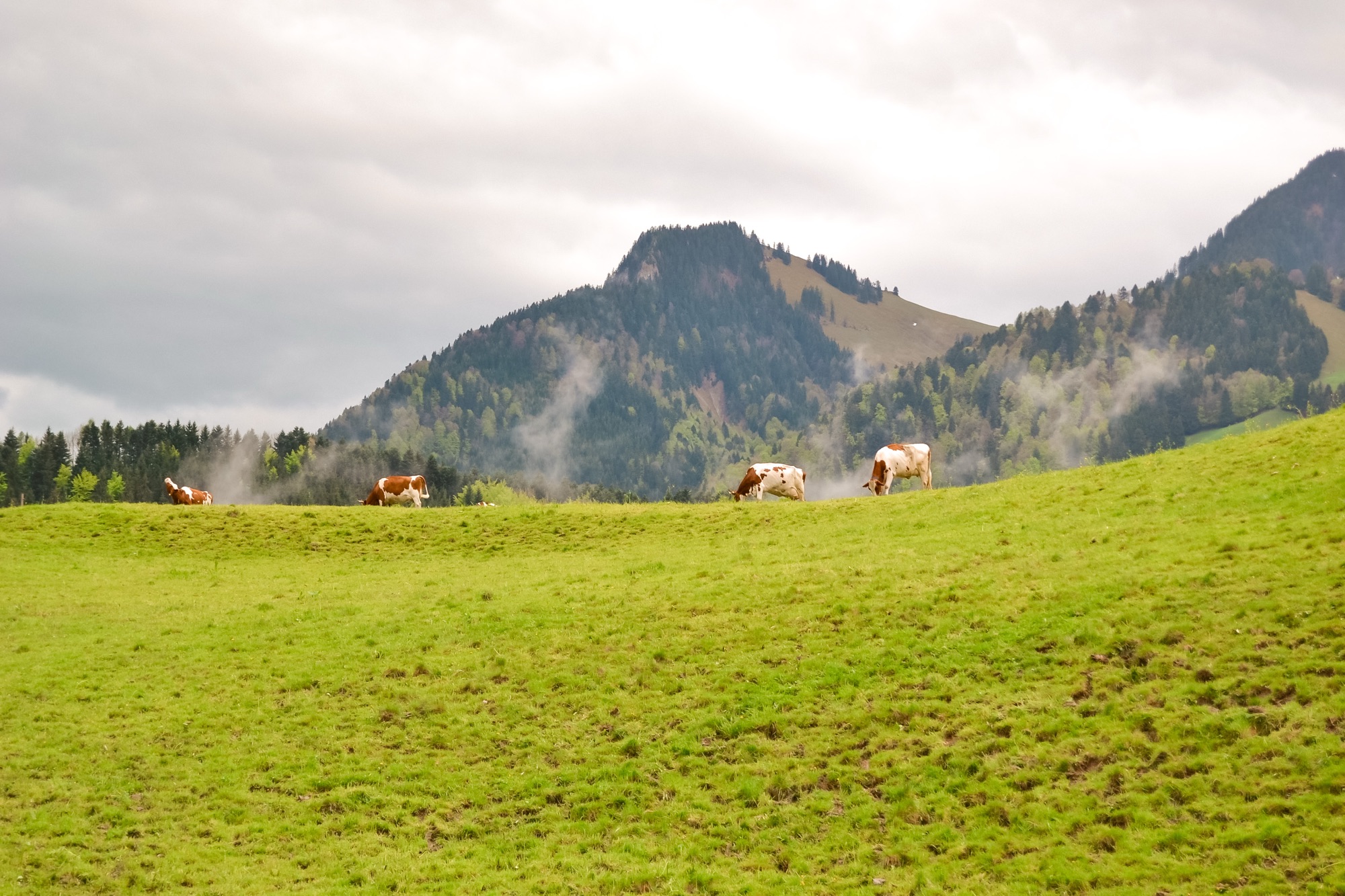 Gruyères: um tour pela terra do queijo suíço